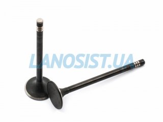 Клапан впускний Carens Ceed Cerato Forte Rio Soul Sportage Accent Elantra Getz i20 i30 i40 ix35 Sonata Tucson MOBIS (Diesel) 222112A100