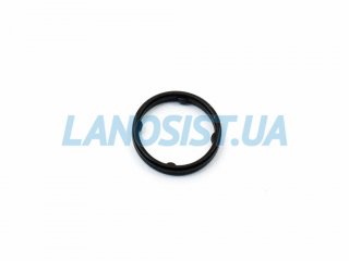 Кольцо уплотнительное передней крышки двигателя Carens Cerato Sportage Elantra Sonata Tucson MOBIS 213562E021