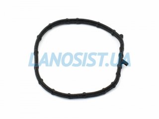 Прокладка корпусу термостата Optima Sorento Sportage Santa Fe Sonata Tucson MOBIS 256412GGA0