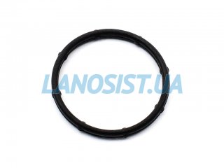 Прокладка корпусу трійника Accent Elantra i30 Cerato Sportage MOBIS 256232B000