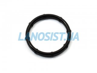 Прокладка корпуса тройника Elantra i30 Ceed Cerato MOBIS 256232B100