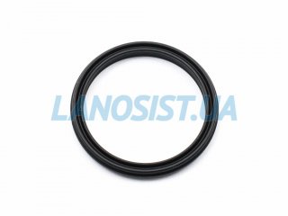 Прокладка термостату Cerato Forte K5 Magenta Optima Sorento Sportage ix35 Santa Fe Sonata Tucson MOBIS 256332G000