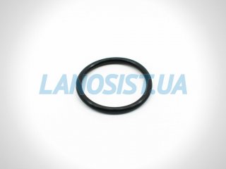 Прокладка термостата Ланос Авео Лачетти 1.6 GM 96143112