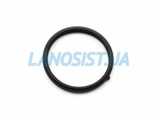 Прокладка термостата Optima Sorento Sportage Santa Fe Sonata Tucson MOBIS 256422GGA0